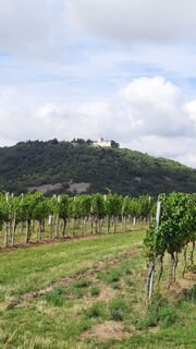 Foto von Eric Stoklassa entlang der Tour