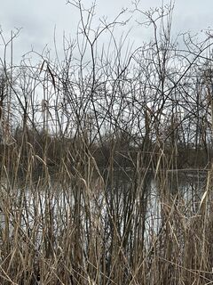 Foto von Cyrill Bischof entlang der Tour