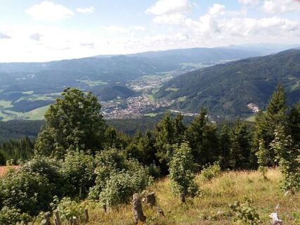Blick von der Scheibe ins Mürztal