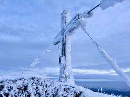 Fotografija s spletne strani Natur_erleben_dg na poti