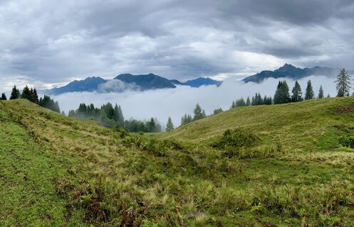 Foto von Kellner Heidi entlang der Tour