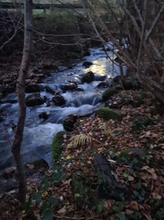 Fotografia z Wolfram Bechtel Ma na trase