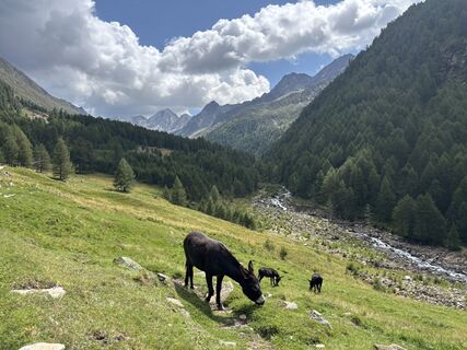 Foto de Massimiliano Cavallin a lo largo del recorrido