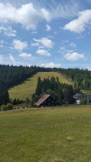 Foto från Oliver Gotthardt under resans gång