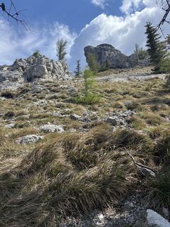 Fotografia z Stefanie Roitner na trase