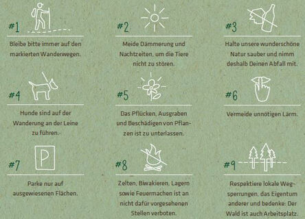 Respekt für die Natur zeigen