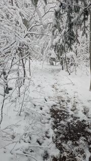 Fotografia z Moni M na trase