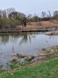 Photo de Mimi le long du parcours