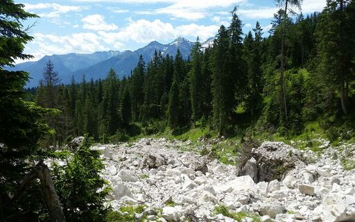 20160628_112241_resized.jpg