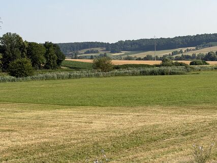 Photo de Schaali le long du parcours
