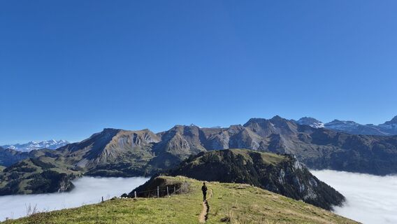 Foto von alinradu entlang der Tour