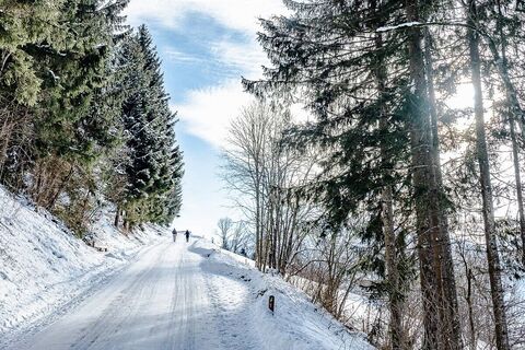erlbergweg_img_72965198