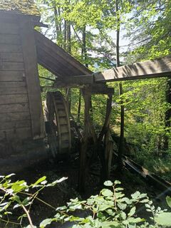 Foto von Elisabeth Sieberer entlang der Tour