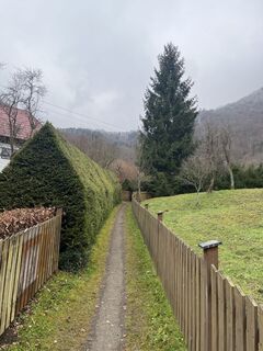 Foto von Zsolt Sipka entlang der Tour