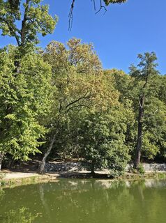 Foto von Marianna Tóth entlang der Tour