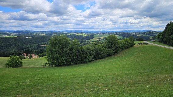 Ausblick Sonnleiten