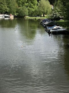 Photo de Barbara Walter 1 le long du parcours
