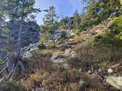 Fotografija s spletne strani Mario vanderwart na poti