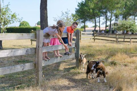 MoulindesGourmands-27