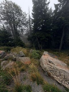 Foto von Paul entlang der Tour