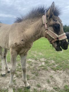Foto von Sven Krieblin entlang der Tour
