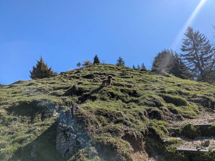 Foto von Eva Oppermann entlang der Tour
