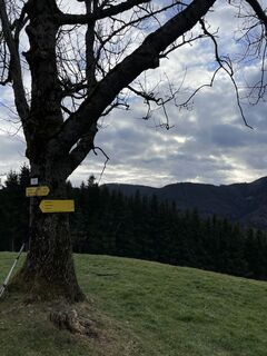 Foto von hanefra24 entlang der Tour