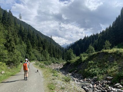 Fotó a Koen De Wit honlapról a túra során