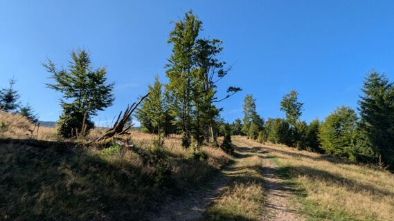 Fotografia z Richard Schwald na trase