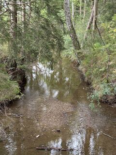 Photo de Denise Miller le long du parcours