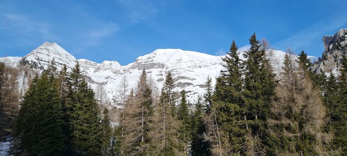 Zdjęcie z Afa wzdłuż trasy