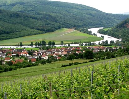 Blick auf Dorfprozelten