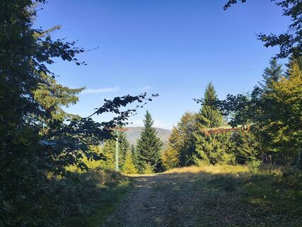 Foto de Stanisław Czajka a lo largo del recorrido