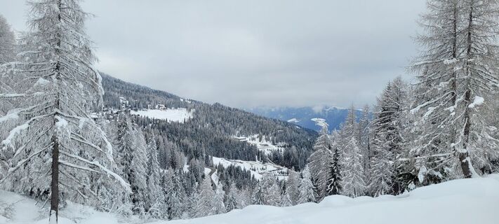 Foto von Nicky entlang der Tour