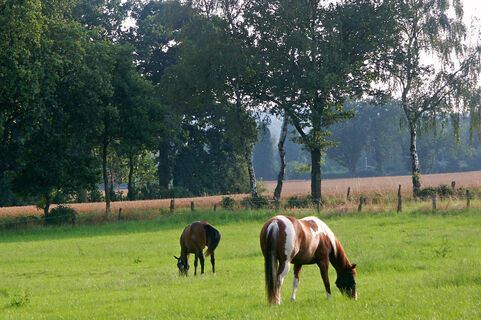 Ländliches Kamp-Lintfort