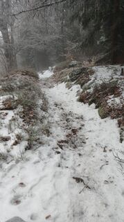 Foto von Fantom RoK entlang der Tour