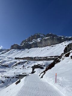 Fotografija s spletne strani Catrin Guddat na poti
