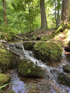 Foto von justasimpleguy entlang der Tour