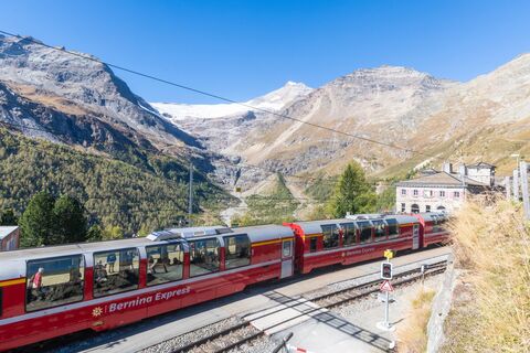 Alp Grüm
