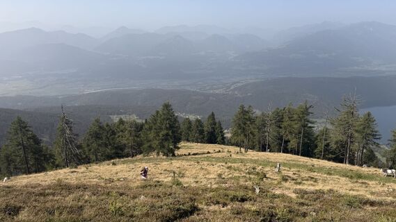 Foto von Jürgen Petz 1 entlang der Tour