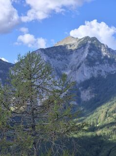 Foto von Reise5 Koenigin entlang der Tour