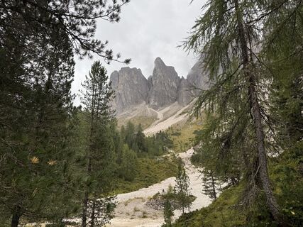 Photo de Frank de Vries le long du parcours