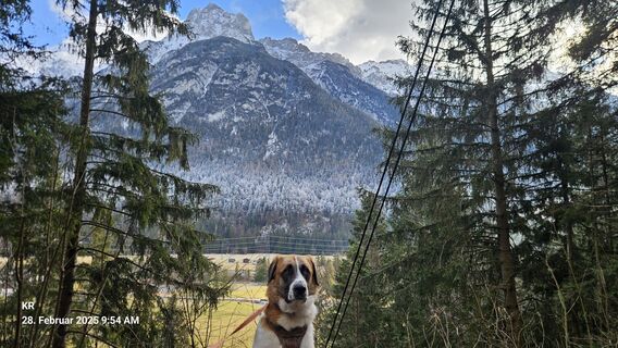 Foto von Klaus Reinhold entlang der Tour