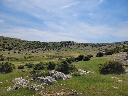 Fotografia z Juliane Jarke na trase