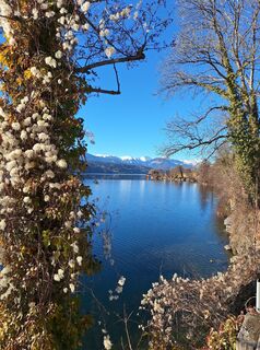 Fotografija s spletne strani Dagmar Hofer na poti