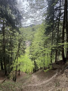 Foto de Sascha Mächler a lo largo del recorrido