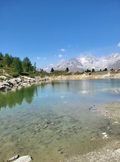Foto de Gudi kowa a lo largo del recorrido
