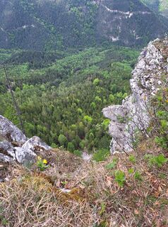 Fotografie de la Barbara Ballmüller de-a lungul turului