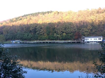 Foto van Gyula Gerecs langs de tour