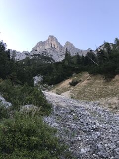 Foto von Heikoala entlang der Tour